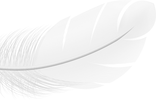 Dio Modern Mediterranean