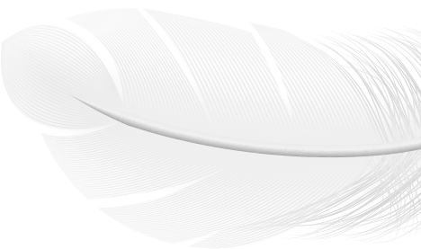 Dio Modern Mediterranean