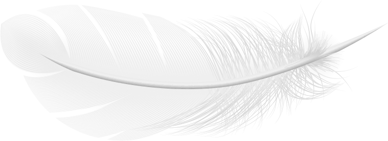 Dio Modern Mediterranean