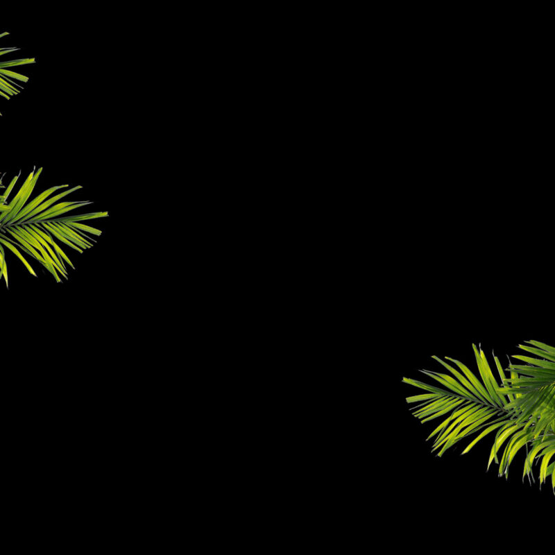 Dio Modern Mediterranean