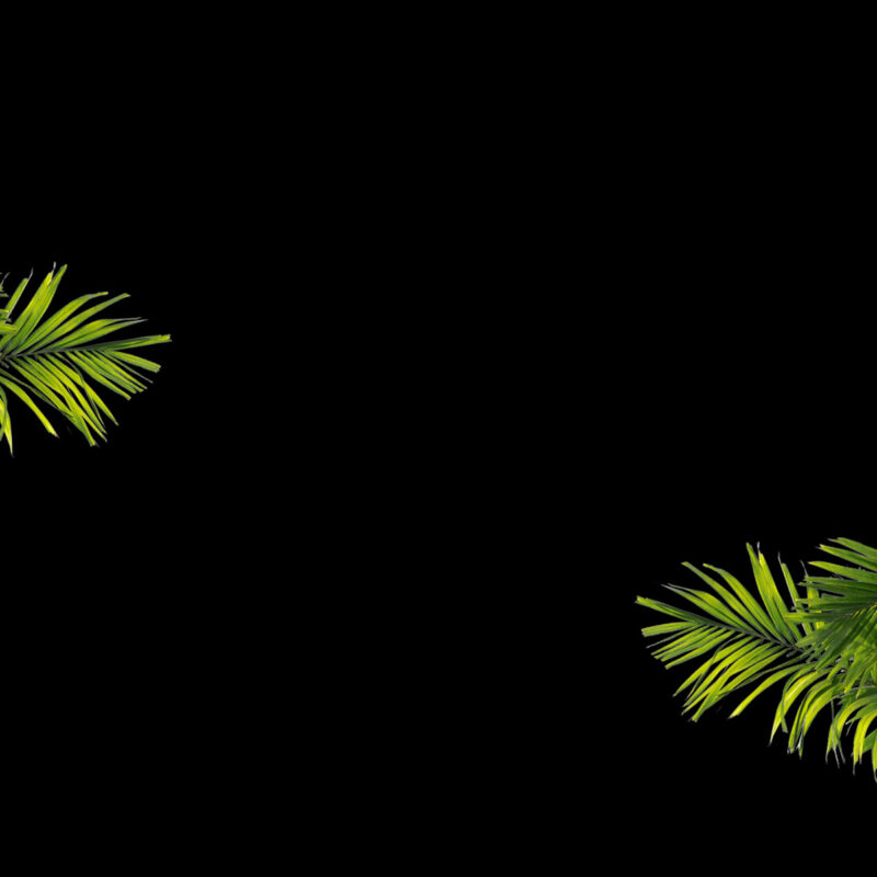 Dio Modern Mediterranean