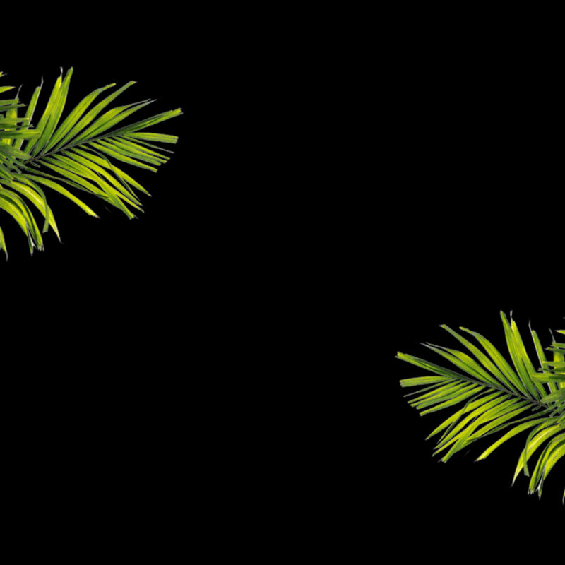 Dio Modern Mediterranean