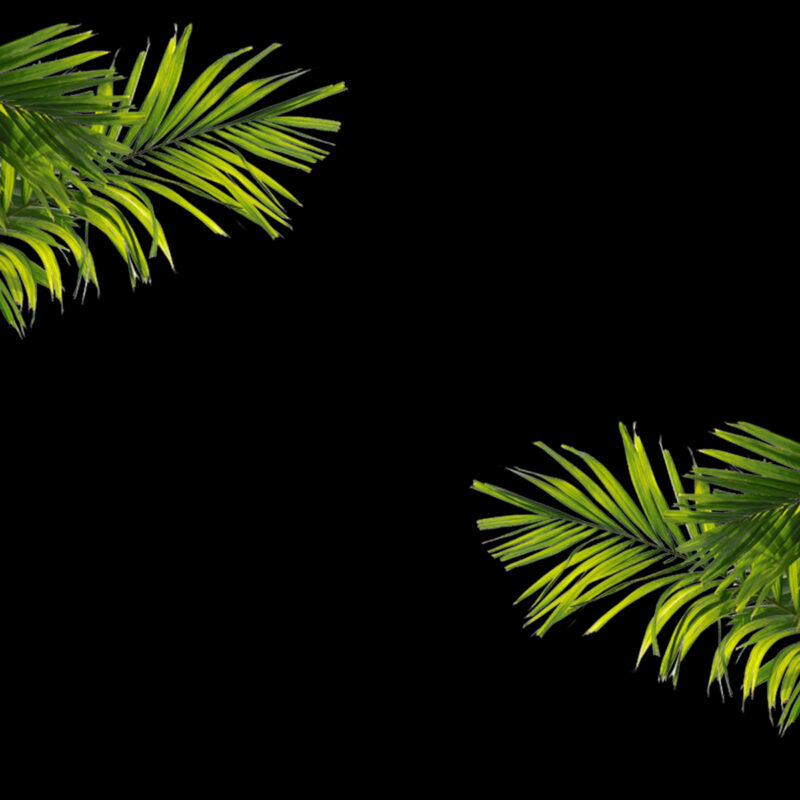 Dio Modern Mediterranean